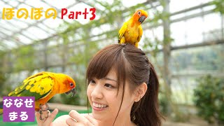 乃木坂46 ほのぼのなぁちゃん特集 Part3 【西野七瀬】 [upl. by Jeth]