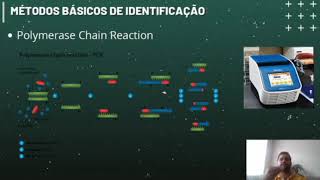 Identificação de microrganismos e ou seus produtos em alimentos II [upl. by Jobey522]