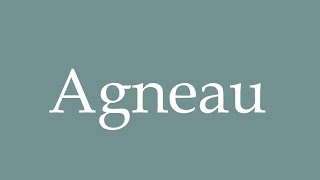 How to pronounce Agneau correctly in French [upl. by Calista702]