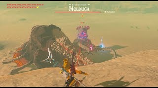 Zelda Breath of The Wild  Guardian vs Molduga  EPIC [upl. by Dode]