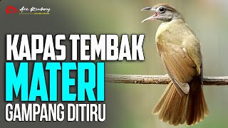 MASTERAN KAPAS TEMBAK GACOR LAGU GAMPANG DI TIRU DAN CEPAT MASUK [upl. by Yllim]