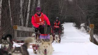 Jericho Sled Dog Race [upl. by Eenor]