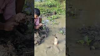 Amazing hook Fishing fishing fishingtipsandtechniques fishingmethods phonk music beats [upl. by Clarice547]