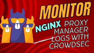 Monitor and Parse Nginx Proxy Manager Proxy Hosts Logs with Crowdsec [upl. by Jeremiah]