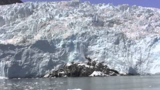 Kenai Fjords Tours Alaskas  1 Wildlife and Glacier Cruise [upl. by Enilrac]