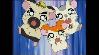 Hamtaro Episode 122 English Subbed quotWatch out for a Wolfquot ハム太郎 第122話 英語字幕 「オオカミに気をつけて」 [upl. by Iglesias]