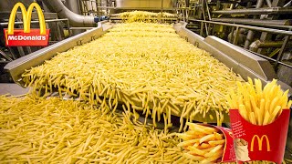 How Are McDonalds French Fries Made  Food Factory [upl. by Ayotak840]