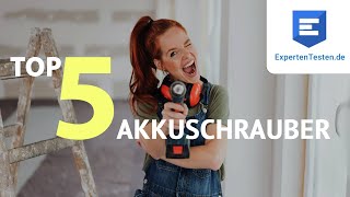 Quale TRAPANO scegliere Parkside Holzmann Ryobi DeWalt Milwaukee Bosch Panasonic [upl. by Kajdan166]