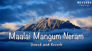 Malai Mangum Neram  Slowed and Reverb  Rowthiram Tamil Movie  Jiiva  Shriya  Prakash Nikki [upl. by Nylrebmik]