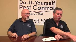 Get Rid of Drain Flies  Drain Fly Control Products [upl. by Hamil]