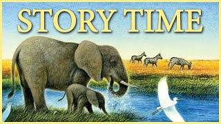 This Is the Earth  Storytime Read Aloud [upl. by Azrim]