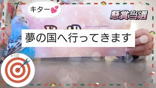 【懸賞当選】難関！ダメもと応募での当選懸賞応募2023年12月21日応募済み [upl. by Eelanej]