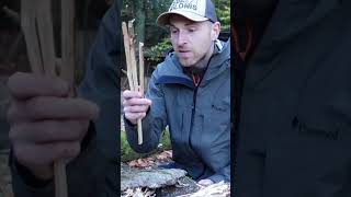 EINSTOCKFEUER EINFACH Feuer machen bushcraft feuermachen survivalskills survivalhacks [upl. by Ailaro]