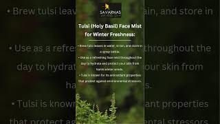 Tulsi Holy Basil Face Mist for Winter Freshness [upl. by Gahl24]