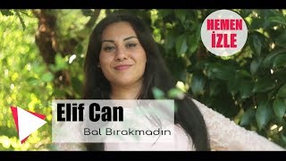 Elif Can  Bal Bırakmadın Official Video [upl. by Mairym]