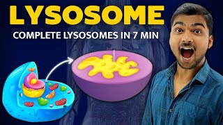 चाह कर नही भूल पाओगे  Lysosomes in Hindi [upl. by Veljkov]