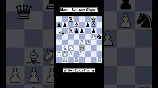 Game  11 Bobby Fischer vs Svetozar Gligorić 10   quotI dont believe in dragonsquot chess [upl. by Naawaj]