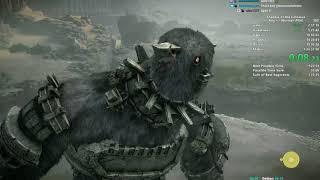 Shadow of the Colossus Speedrun in 12547 PS4WR [upl. by Leuamme]