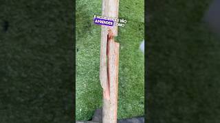 Como consertar cabos de vassouras 🧹 quebrados 👏😱 dicas tools diy shorts [upl. by Nivlam]