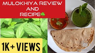 Molokhia review MalayalamMolokhia Recipe Malayalammolokhia [upl. by Aerdnad]