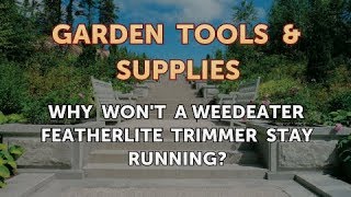 Why Wont a Weedeater Featherlite Trimmer Stay Running [upl. by Gurtner]