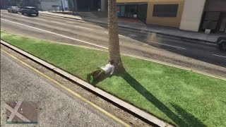 GTA 5 WINS FAILS AND FUNNY MOMENTS [upl. by Nho431]