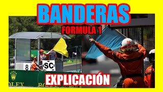 Las BANDERAS en la FORMULA 1 🏁 ¿Qué Significan 🤔 y Cuándo se Usan Explicación ✅  Banderas de F1 [upl. by Smitt619]