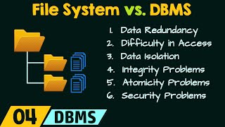 File System vs Database Management System [upl. by Arocahs]