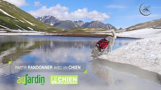 Partir en randonnée avec son chien🐕 bien préparé pour une longue balade [upl. by Haim910]