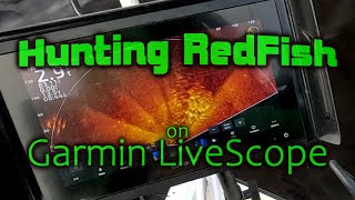 Hunting RedFish Schools on Garmin LiveScope [upl. by Yesnyl]