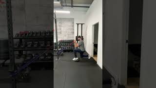 Cable Zercher Split Squat [upl. by Gibbeon]