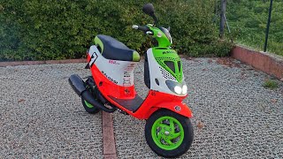 PIAGGIO ZIP SP 172 MALOSSI  Accensione dopo 2 mesi marmitta LP Lpower smart exhaust [upl. by Ahrat]