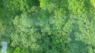 台北木柵貓空水晶纜車（MaoKong Gondola） [upl. by Seeto]