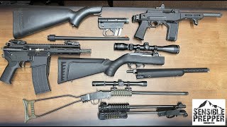 Top 8 Take Down Survival Rifles in 22 LR [upl. by Alveta]