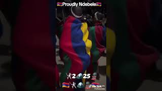 Proudly Ndebele 🇲🇺 bbndebele ndebelesongs ndebeleculture africa🇲🇺 dance❤️ [upl. by Ylam]