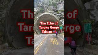 Echo in the Tunnel of Taroko Gorge Taiwan cycling2adventure shorts taiwan taroko cycling [upl. by Htelimay]