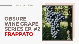 The Obscure Wine Grape Series  Ep2  Frappato [upl. by Poppo]