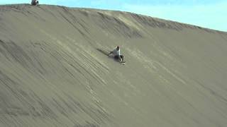 Sandboarding at Port Stephens NSW [upl. by Ryan]