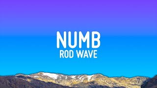 Rod Wave  Numb Lyrics [upl. by Saxe]