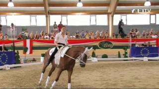 FEI European Vaulting Championships 2013  Male Junior Compulsory 1st Place  Simon Ramin Rahimi [upl. by Sandye418]