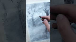 Pleinair Disegno di Alberi a Carboncino dal Vero pleinair charcoaldrawing disegnodalvivo [upl. by Jannery750]