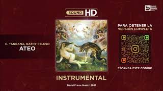 C Tangana Nathy Peluso  Ateo 🎶 INSTRUMENTAL By David Prince Music [upl. by Shuping572]