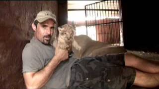 Kevin Richardson a very special Lioness amp her Cubs [upl. by Corel887]