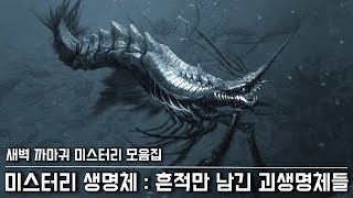 미스터리 생명체 흔적만 남긴 미지의 생명체들 [upl. by Sholeen]