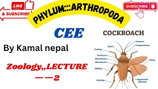 Phylum Arthropodalecture2 by best teacher with notes and instructions [upl. by Anelram]