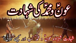 shahadat shehzada aun o Muhammad  bibi Zainab sa k bete [upl. by Sinnal]