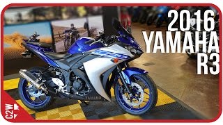 2016 Yamaha R3  First Ride [upl. by Jozef]