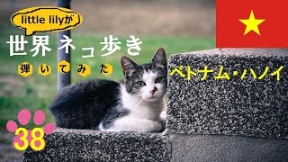 【ネコ歩き弾いてみた㊳】ハノイの月  髙野正樹【Music w cat】 [upl. by Leamsi]