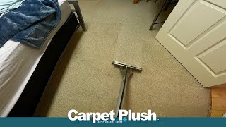 Deep Cleaning Carpet Satisfying ASMR At Home [upl. by Trahurn304]