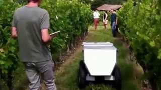 Vinerobot un futur allié pour vos décisions au vignoble [upl. by Akiras776]